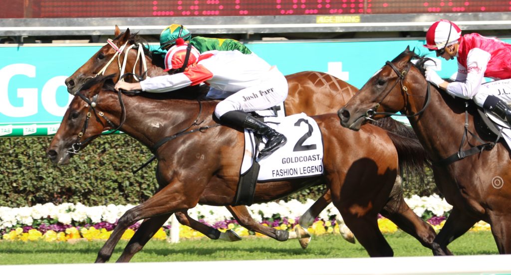 Fashion Legend 2 | Just Horse Racing