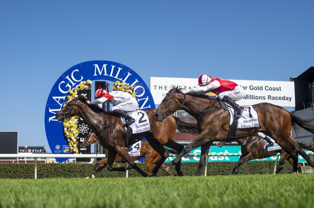 Fashion Legend 9710 | Just Horse Racing