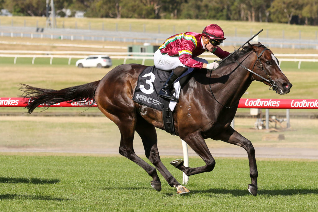 Gentleman Roy0V9A1233 | Just Horse Racing