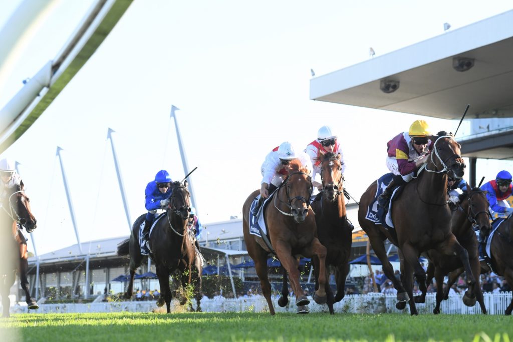 Kir Royale 140123 9662 (2) | Just Horse Racing