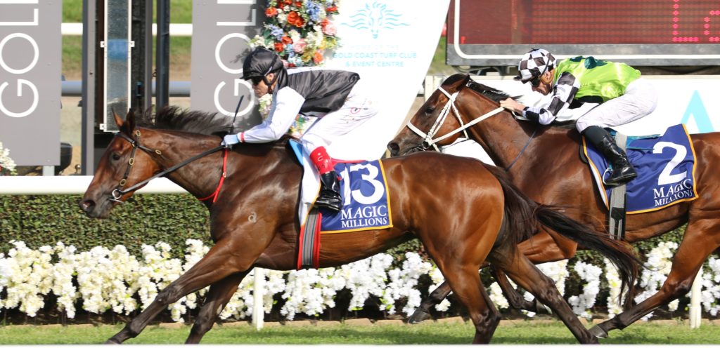 Latakia | Just Horse Racing