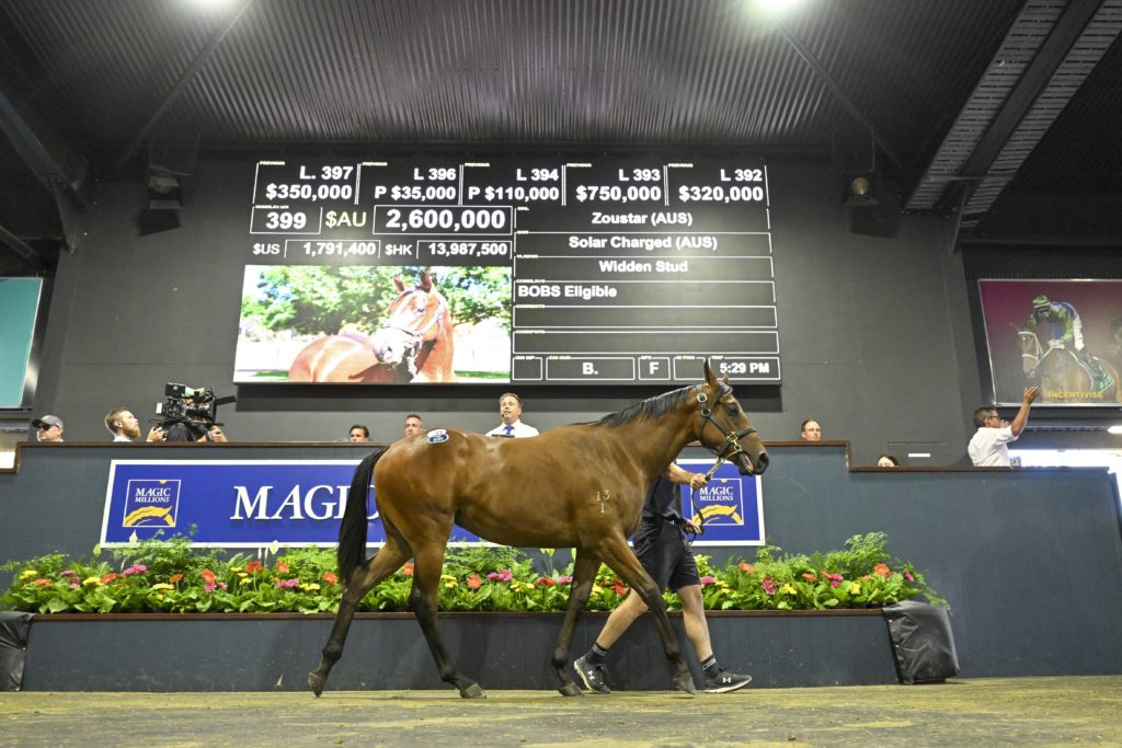 Lot 399 Zoustar - Solar Charged_DSC_7949.JPG | Just Horse Racing