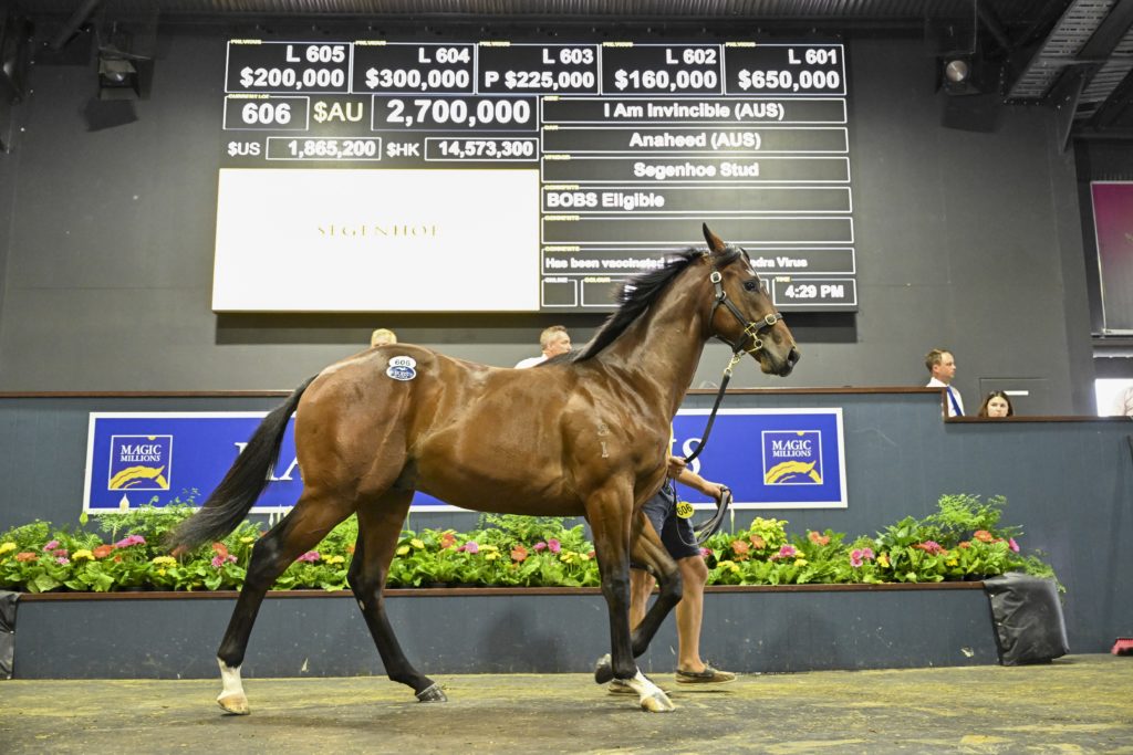 Lot 606 I Am Invincible - Anaheed_DSC_9112.JPG | Just Horse Racing