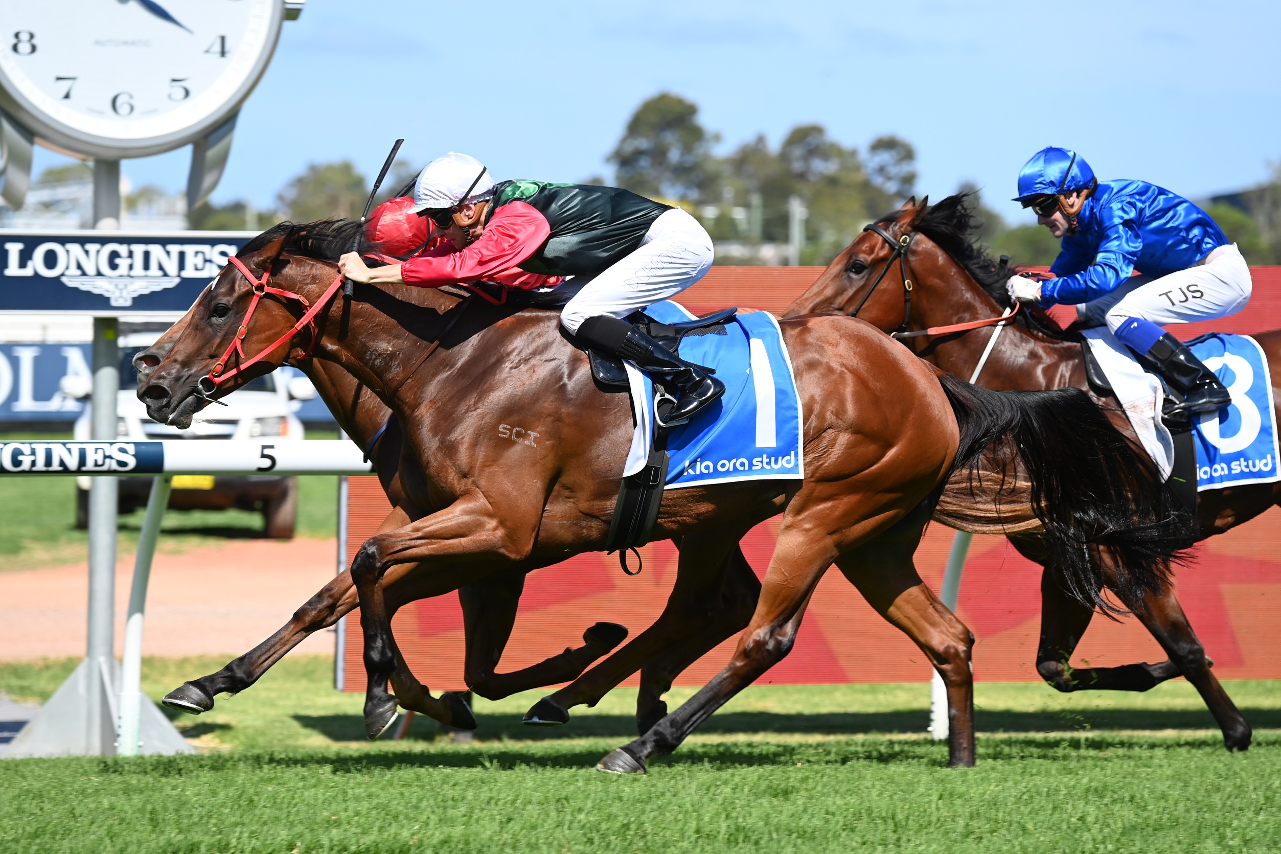 Clark chasing back-to-back wins in the Expressway Stakes - Vimarsana News
