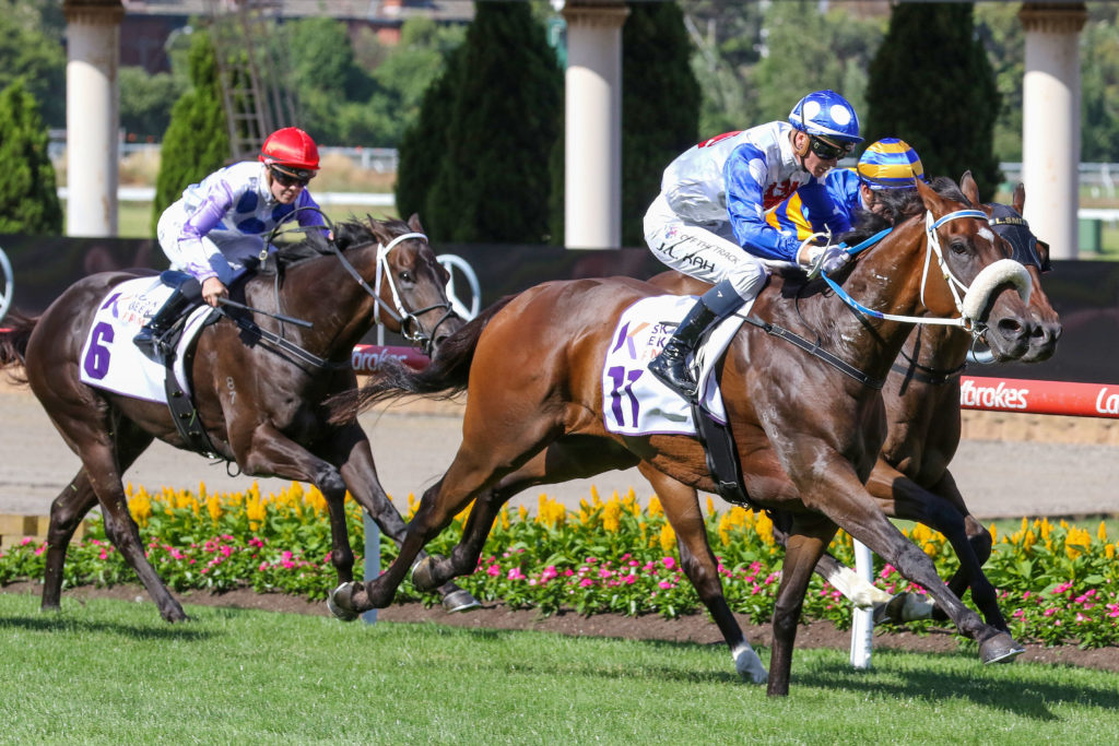 Pounding 0V9A1357 | Just Horse Racing