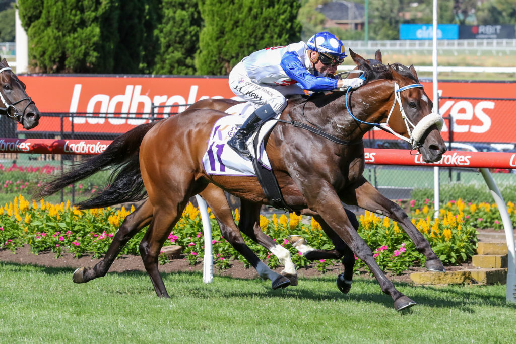 Pounding0V9A1361 | Just Horse Racing