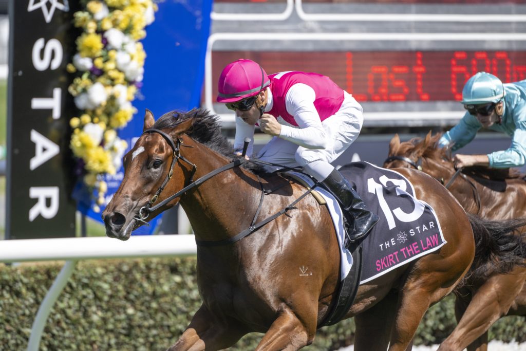 Skirt The Law - Magic Millions Classic winner | Just Horse Racing Skirt The Law - Magic Millions Classic winner