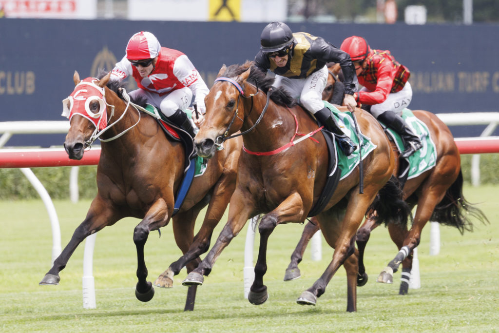 Smokeshow-20230121-8675 | Just Horse Racing