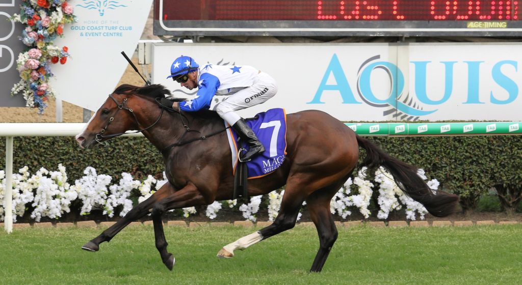 Spiritualised 2 | Just Horse Racing