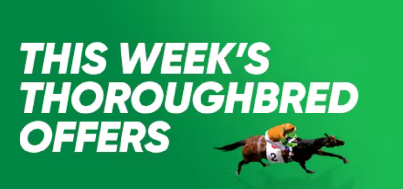 Thoroughbred Offers | Just Horse Racing