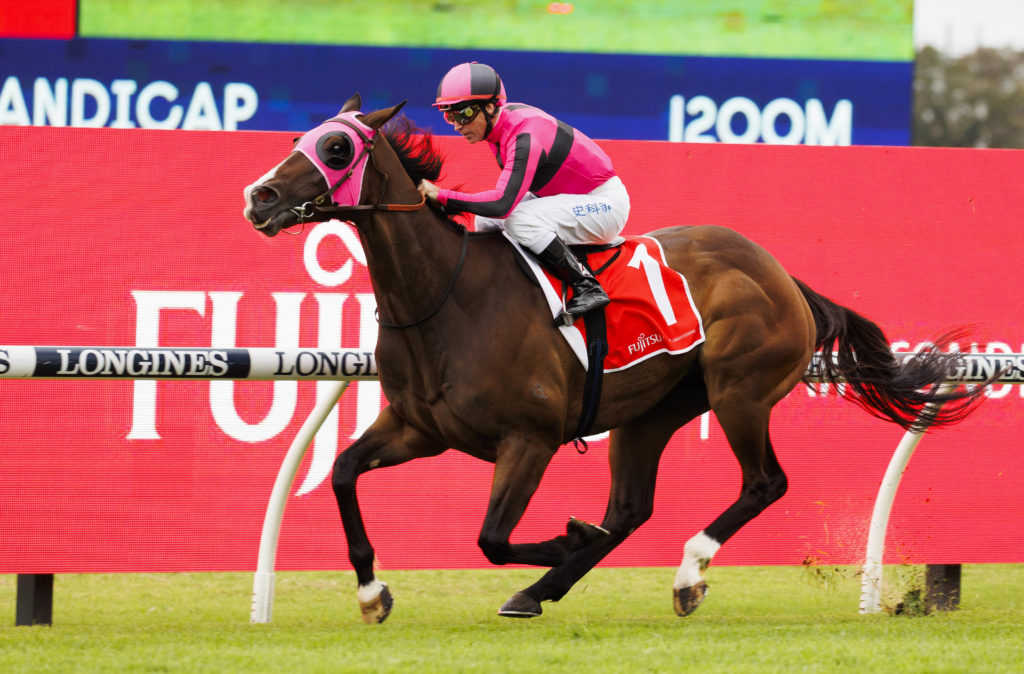 TitaniumPower-20230107-7323 | Just Horse Racing