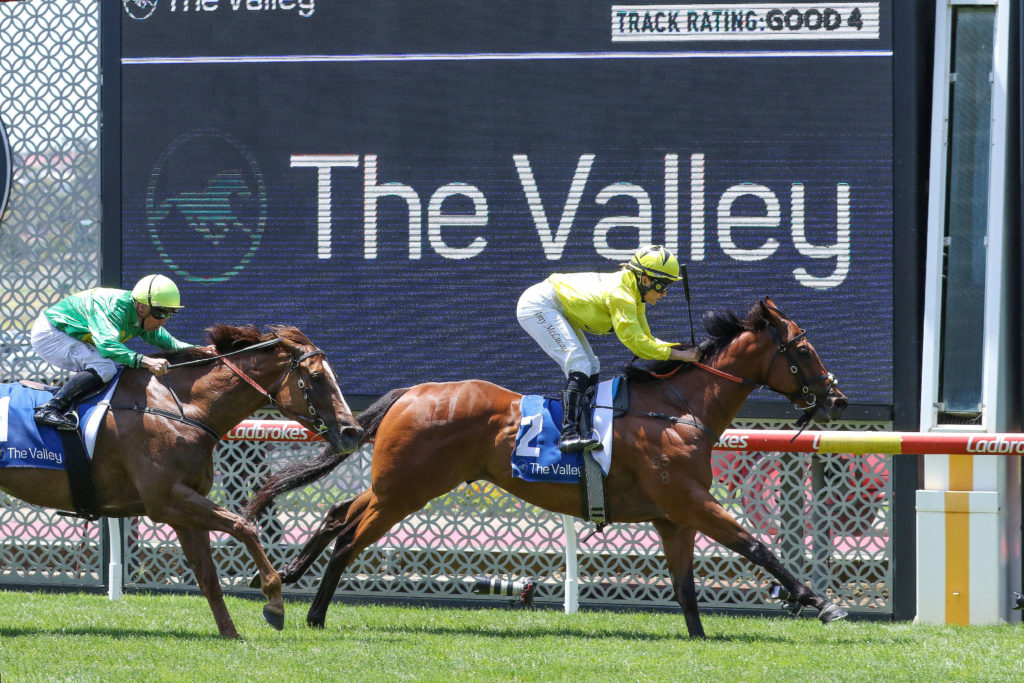 Unflinching_21-01-2023_WIN_Moonee Valley_2__236 | Just Horse Racing