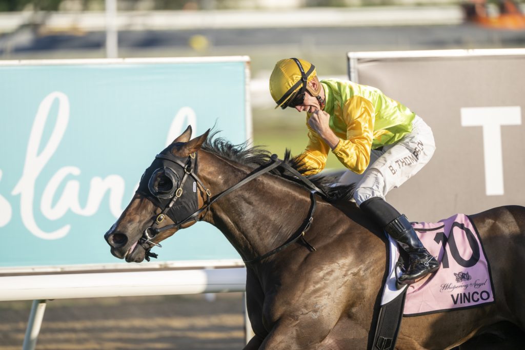Vinco 4828 | Just Horse Racing