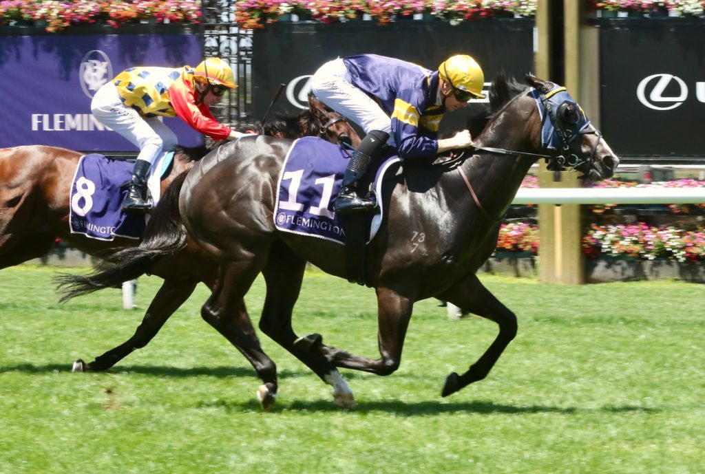 snapper_1650 | Just Horse Racing