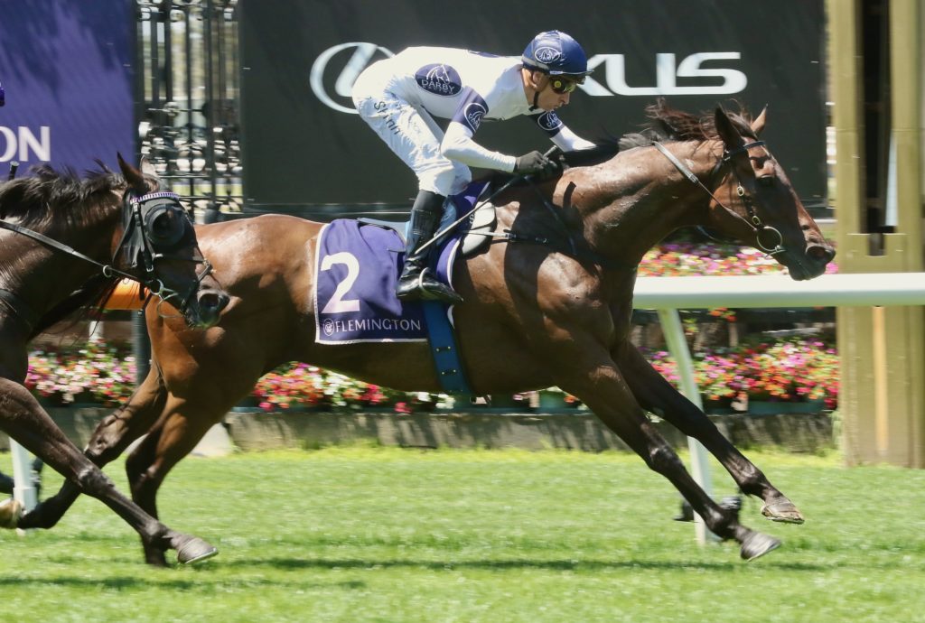 spirit ridge_1534 | Just Horse Racing