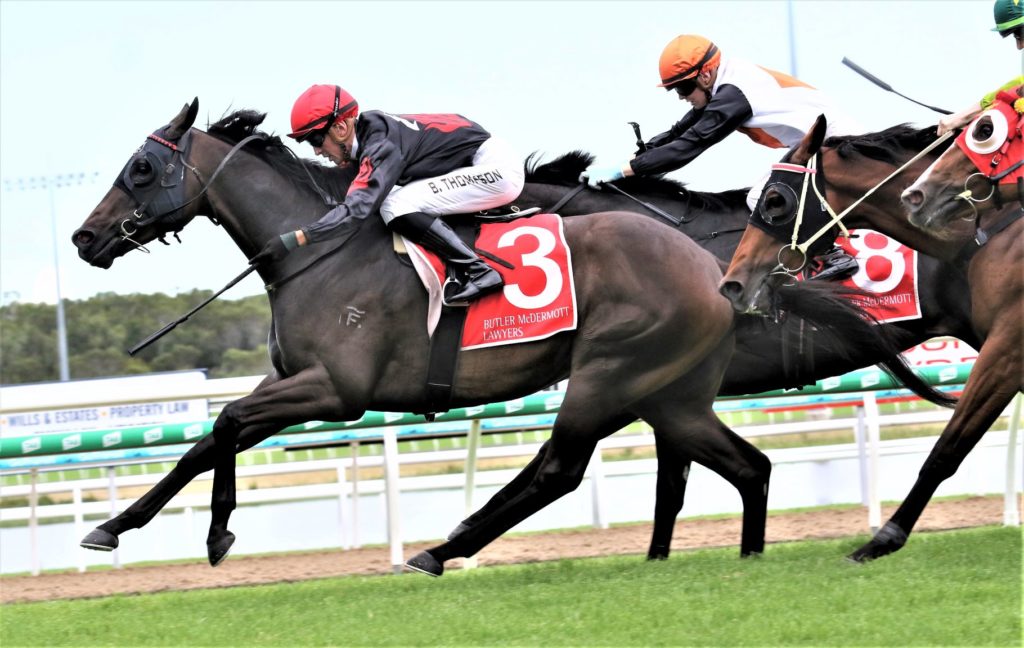 sunny coast race 7 The Vowels | Just Horse Racing