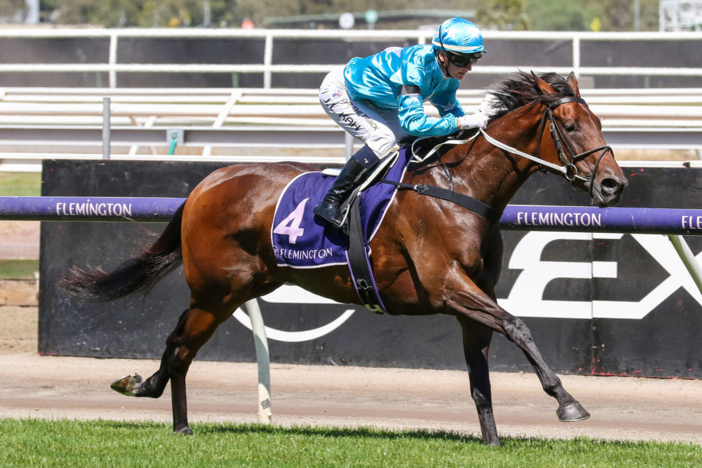 ANNAVISTO 0V9A0885 | Just Horse Racing