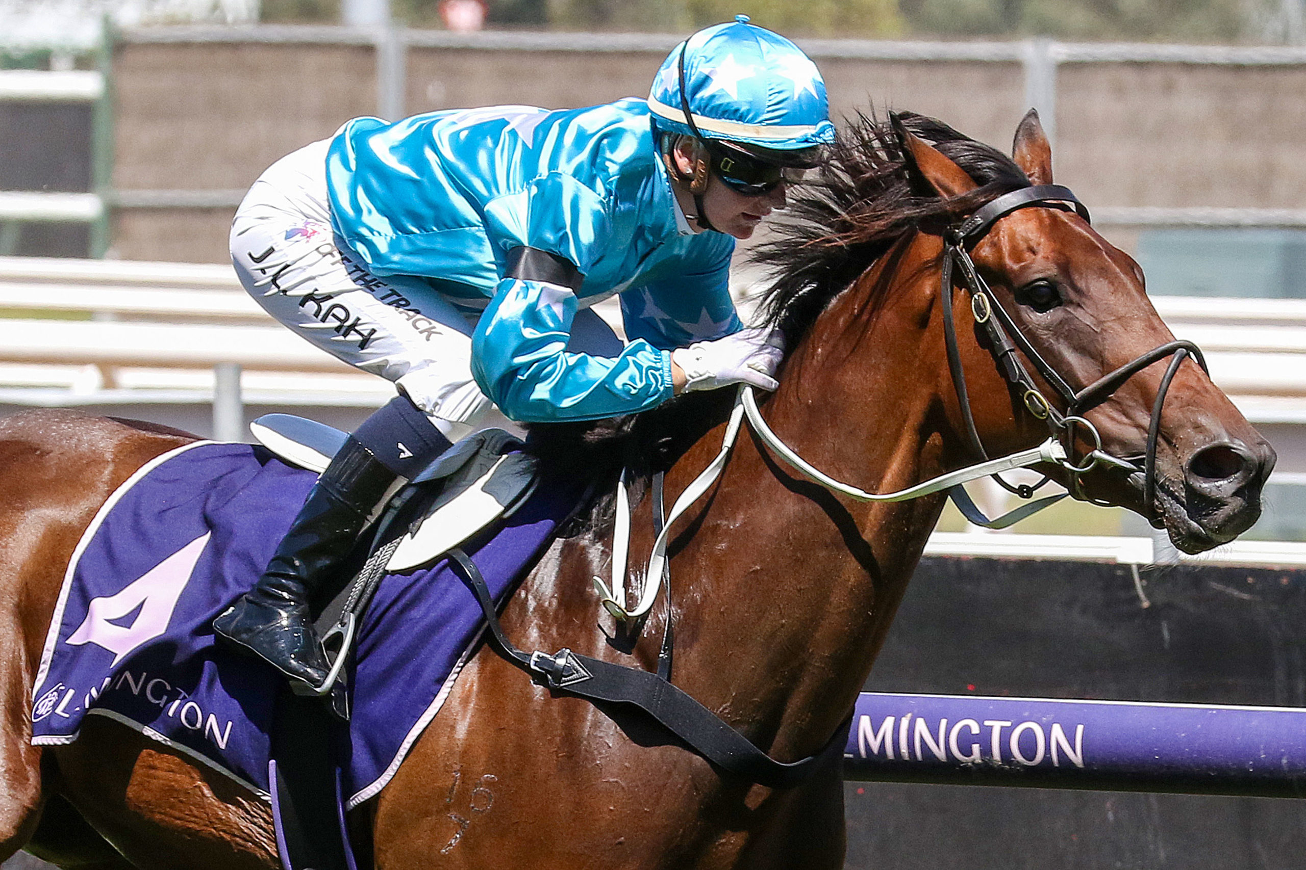 Quality fields assured from the nominations for Coolmore Classic Day - Vimarsana News