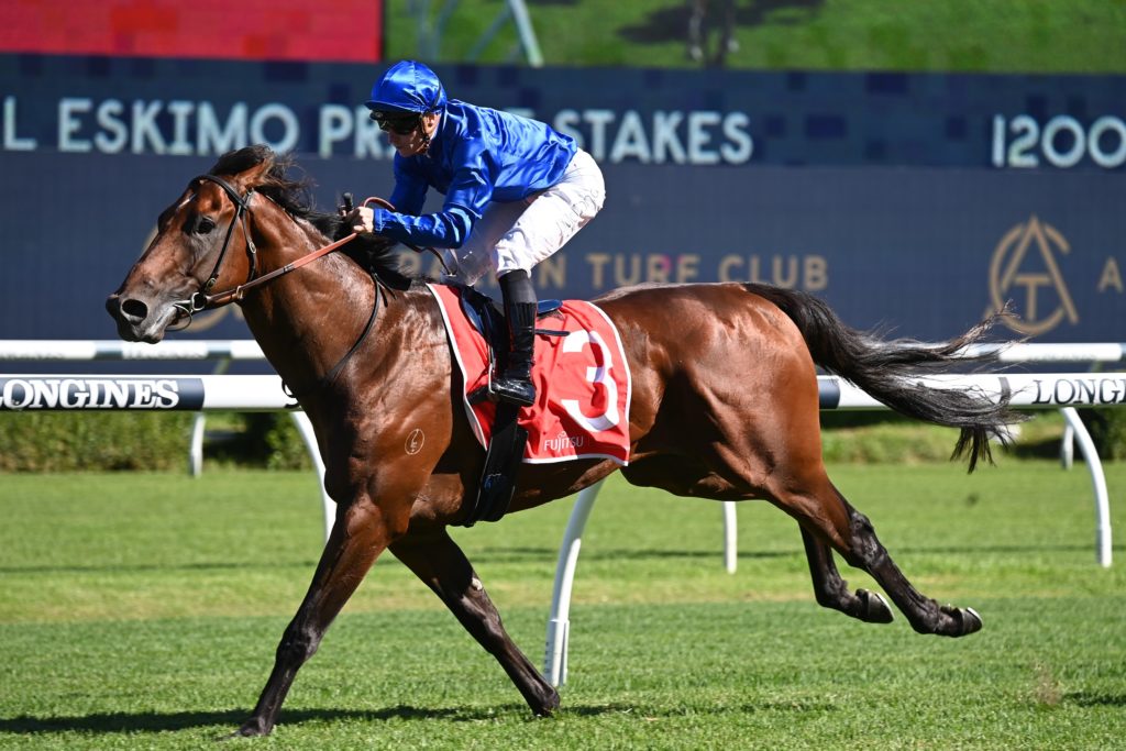 Aft Cabin 040223 3160 | Just Horse Racing