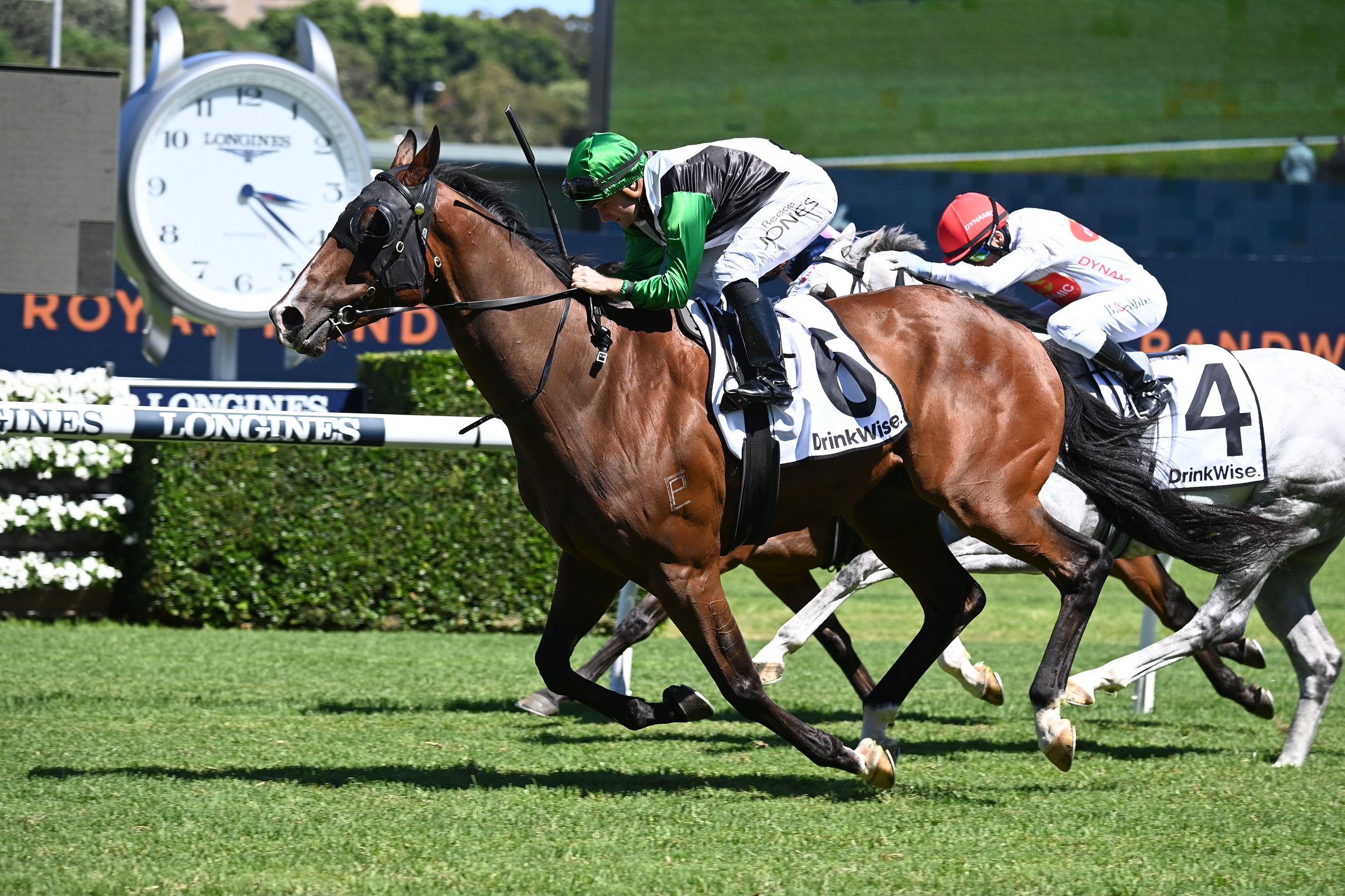 Banju a boon for up-and-coming trainer | Just Horse Racing