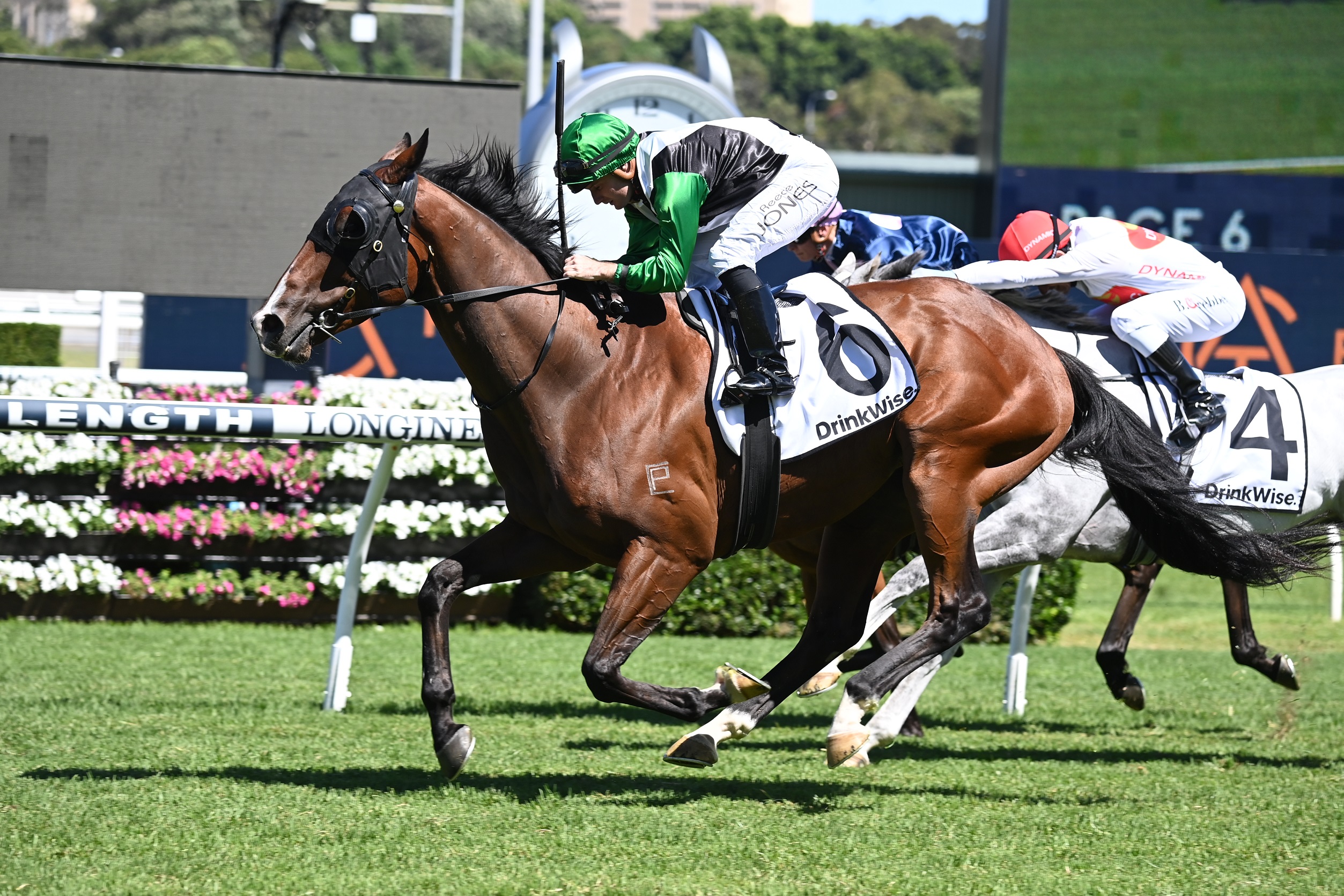Banju thriving despite weighty Scone Cup task | Just Horse Racing