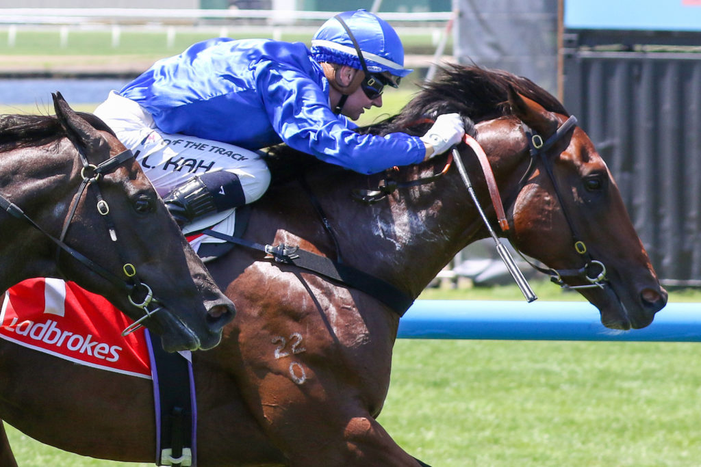 Barber,Blue Diamond Prelude,Group 3_11-02-2023_WIN_Sandown_3__360 | Just Horse Racing