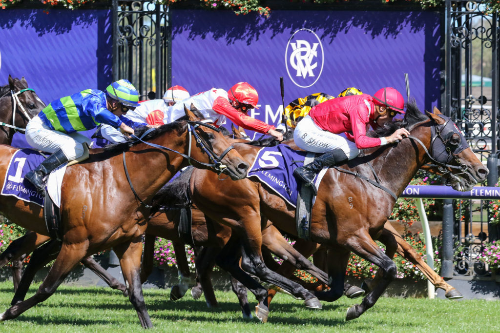ELLIPTICAL 0V9A1161 | Just Horse Racing