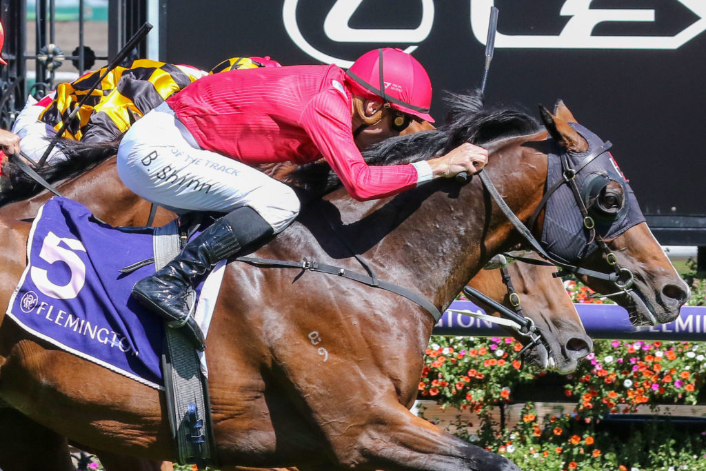 ELLIPTICAL 0V9A1162 | Just Horse Racing