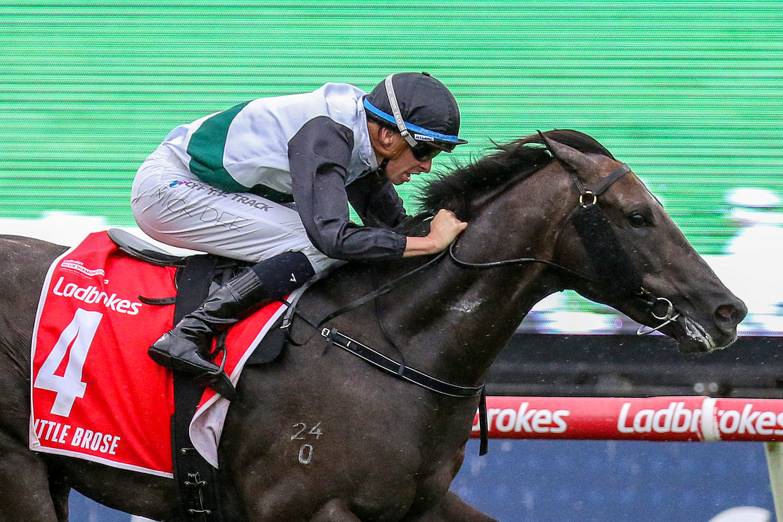 Little Brose wins the Blue Diamond Stakes - Vimarsana News