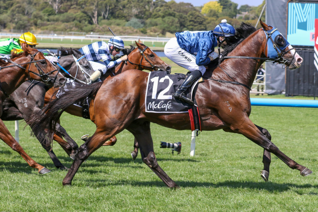 Lofty Strike Craig Newitt Rubiton Stakes (4) | Just Horse Racing