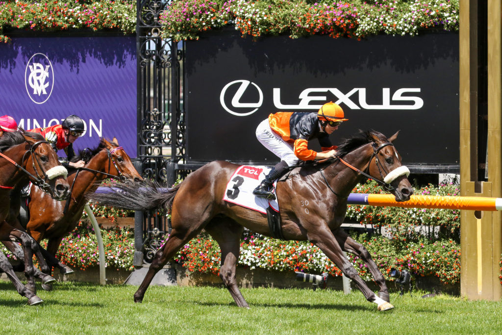 Maharba0V9A0448 | Just Horse Racing