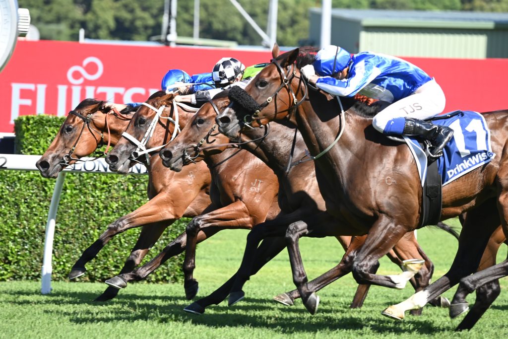 Sunshine In Paris 25022023 8861 | Just Horse Racing