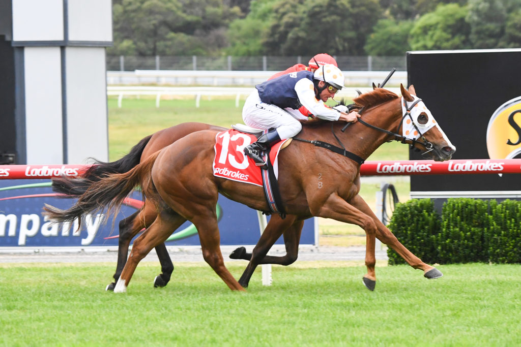 /r7/ | Just Horse Racing
