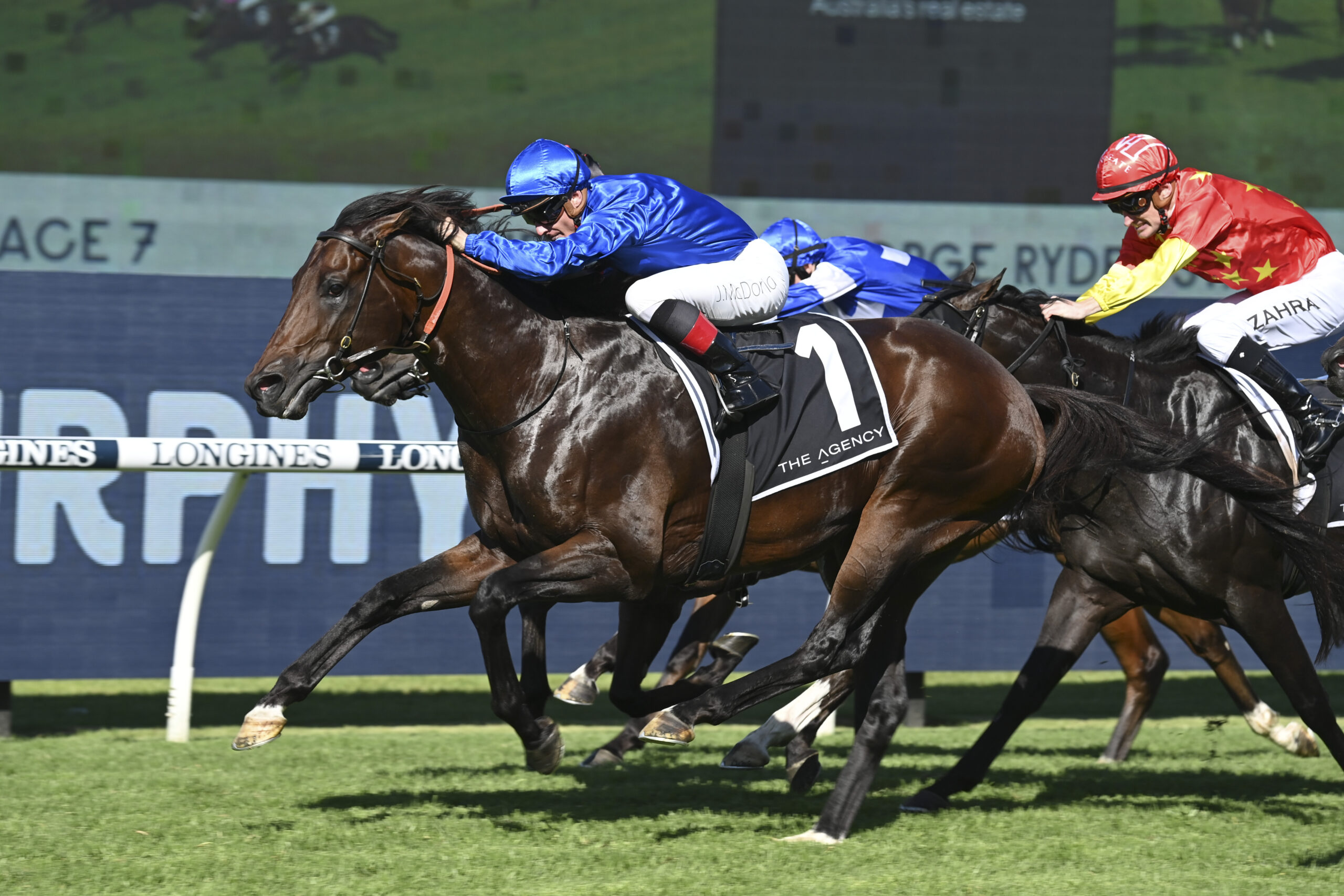 Darley unveils powerhouse 2026 roster led by Too Darn Hot and Anamoe ...