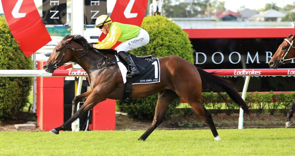 All That Pizzazz | Just Horse Racing