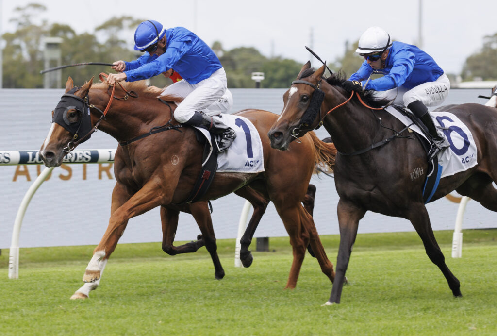 Amur-20230325-3519 | Just Horse Racing