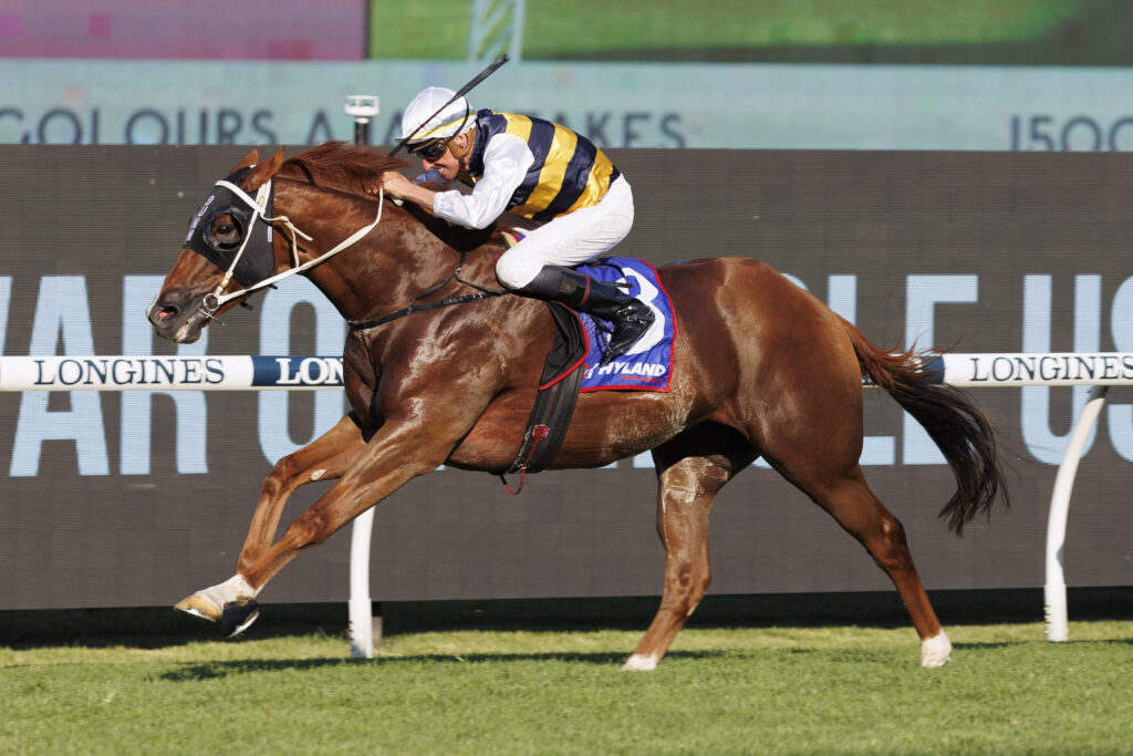 Ajax Stakes 2024 Field, Tips, Betting Odds, Results
