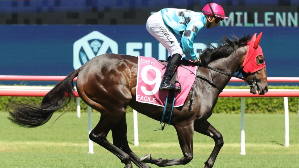 Facile | Just Horse Racing