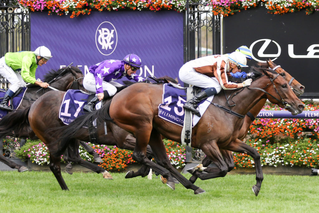 LEGARTO 0V9A1510 | Just Horse Racing