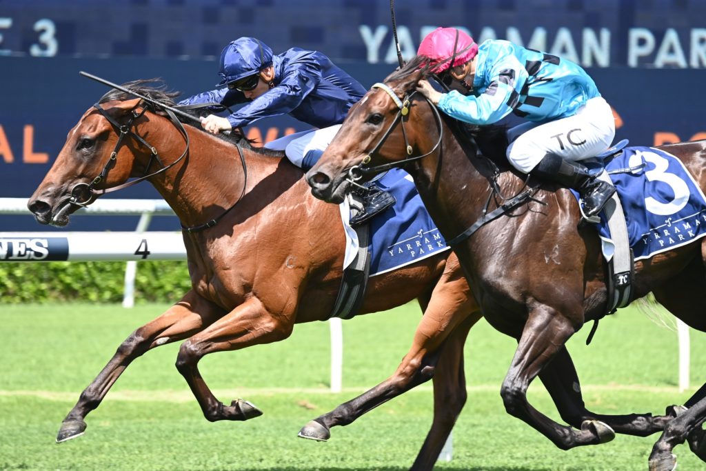 Surround Stakes 2024 – Field Preview, Odds, Horses, Speed Map and Betting Tips