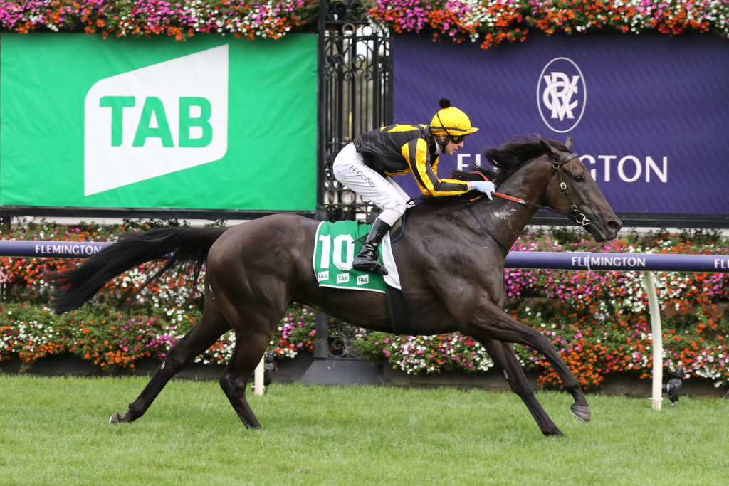 NONCONFORMIST 0V9A1878 | Just Horse Racing