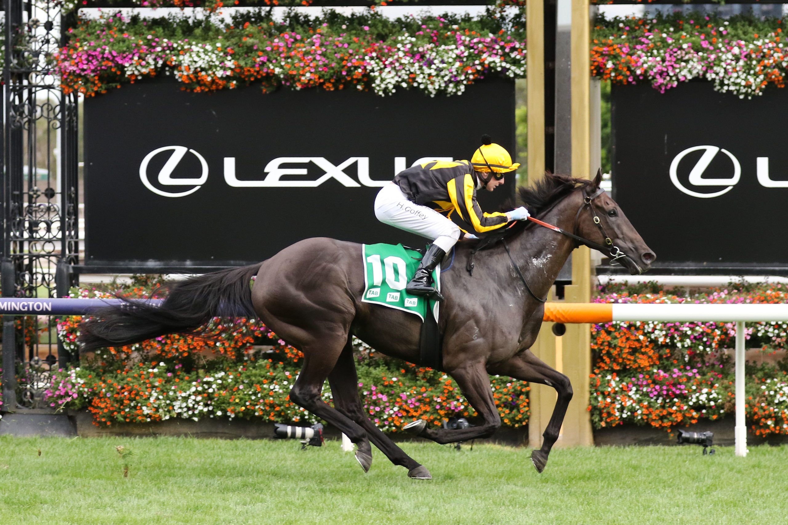 Begg saddles two in the Australian Cup - Vimarsana News