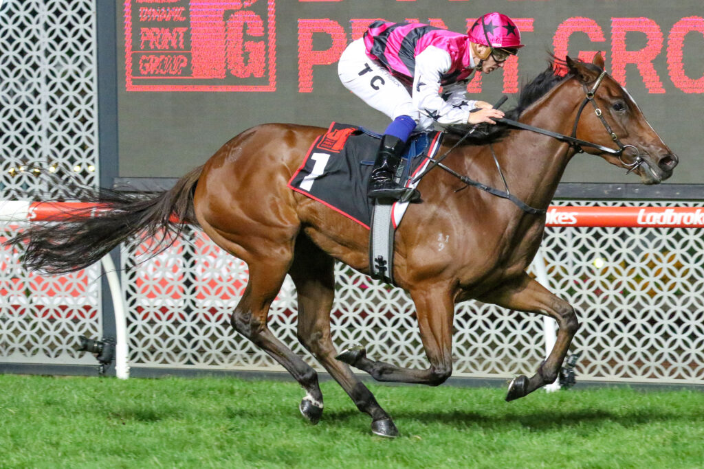 PAPILLON CLUB0V9A1444 | Just Horse Racing