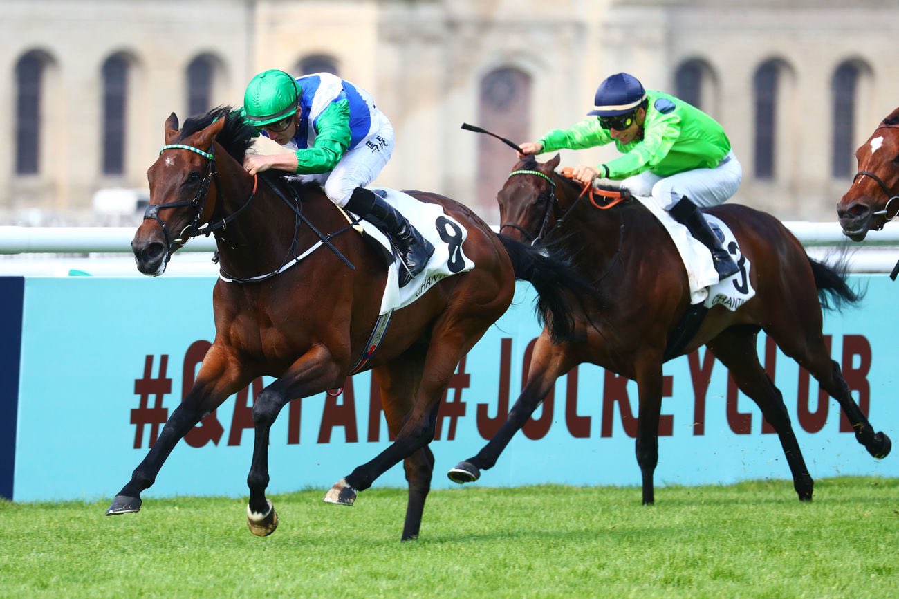 Internationals set for Rosehill take off - Vimarsana News
