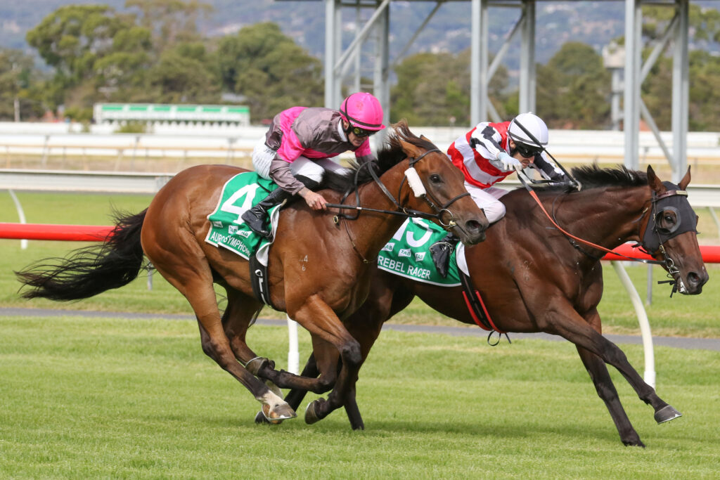 Adelaide Cup Weekend 2024 Results Mil Clementia