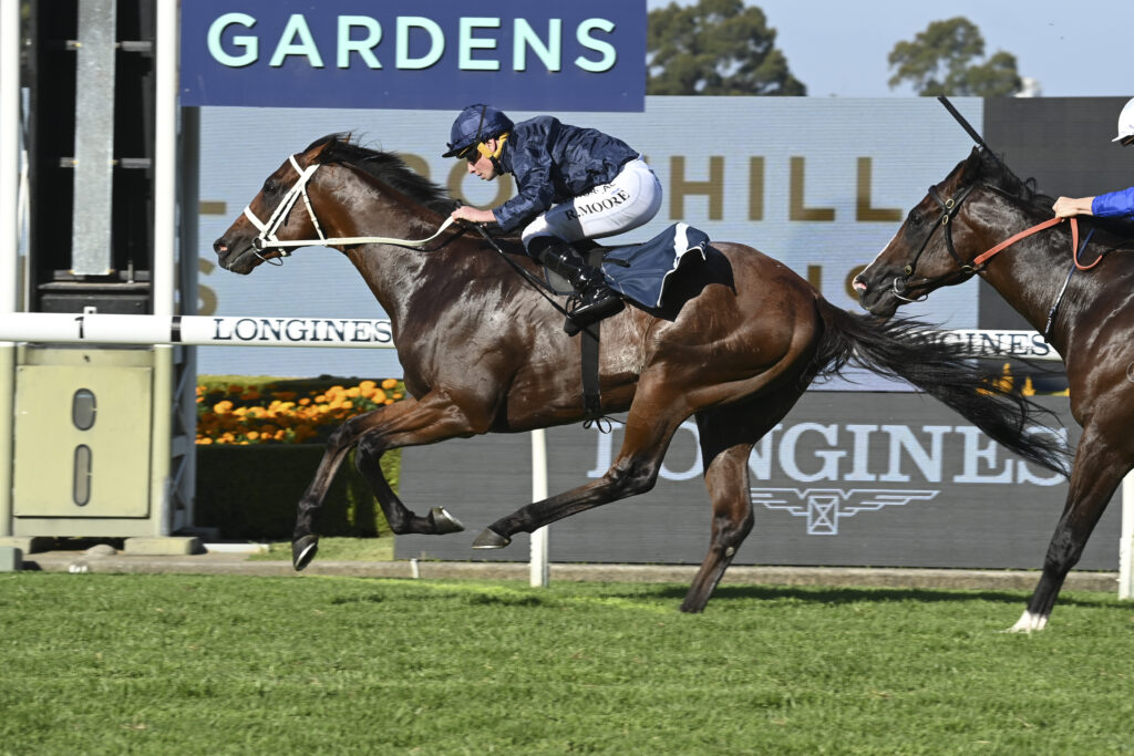 Golden slipper store
