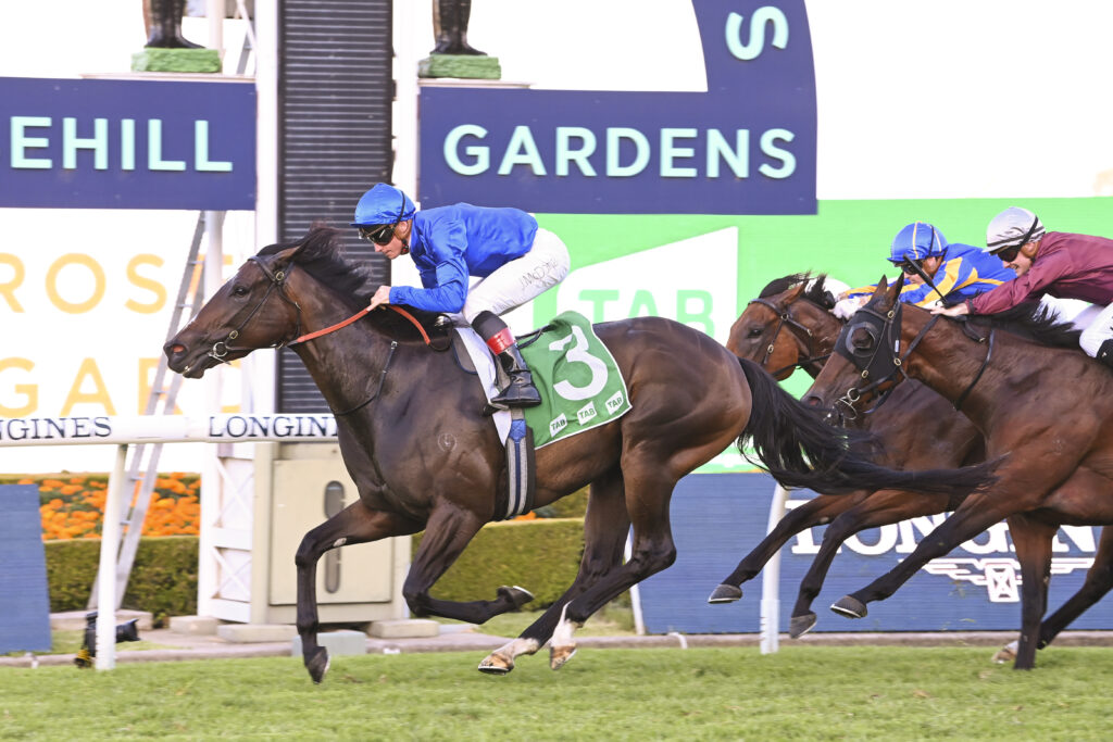 DSC_1274ZAPATEO,Z_10_RH_18032023__C035 | Just Horse Racing