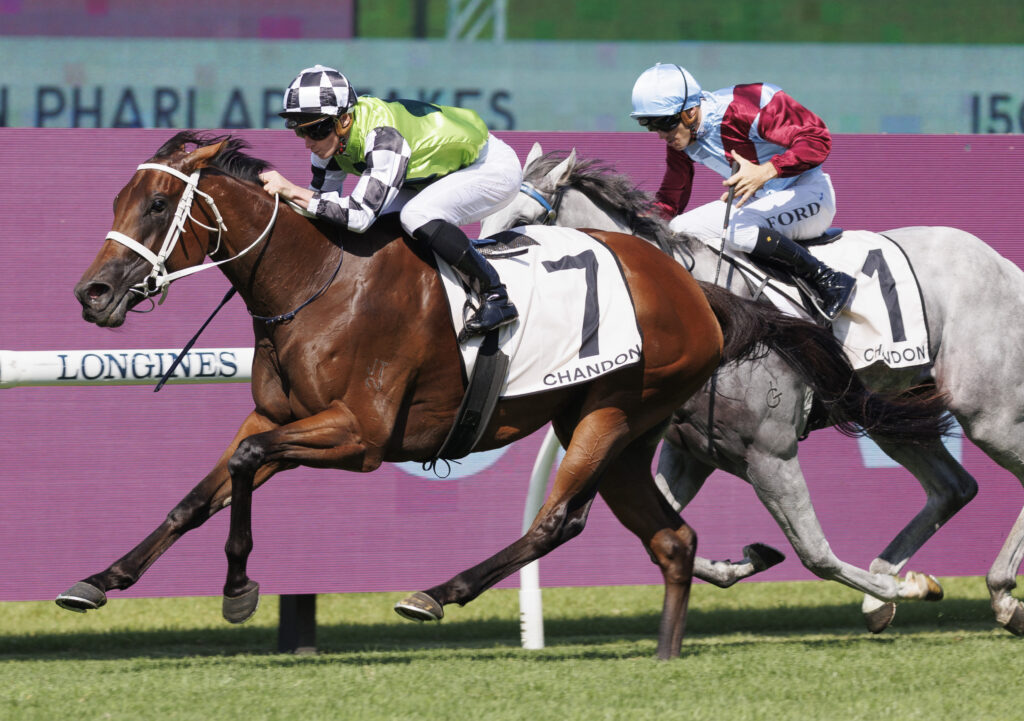 Zougotcha-20230311-0238 | Just Horse Racing
