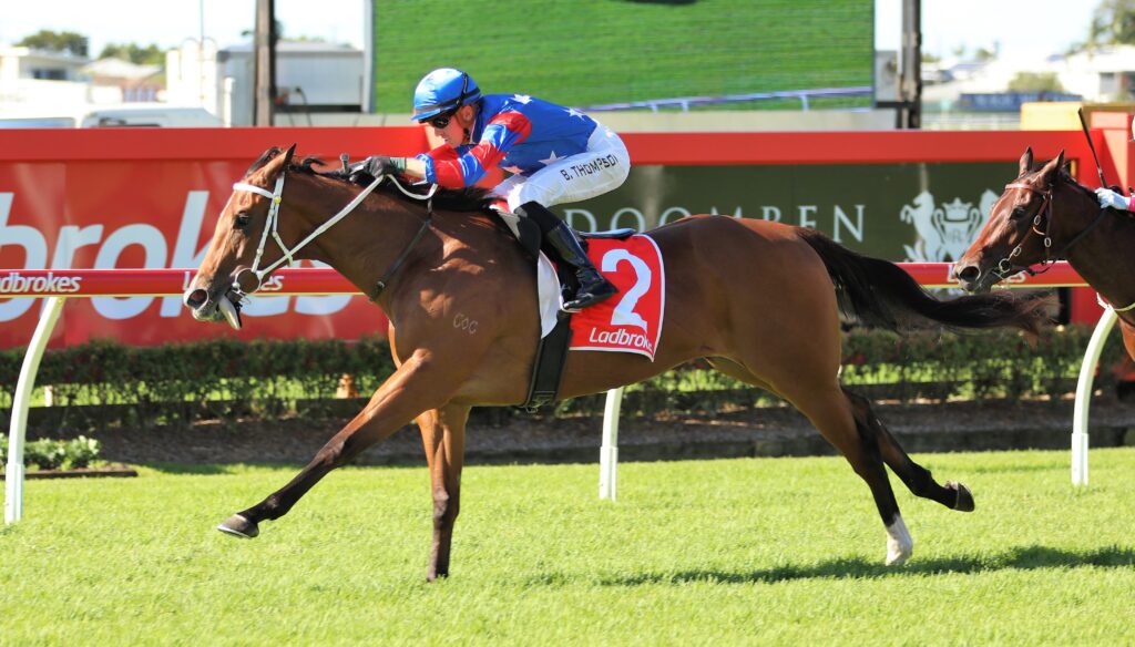 Chinny Boom 2 | Just Horse Racing