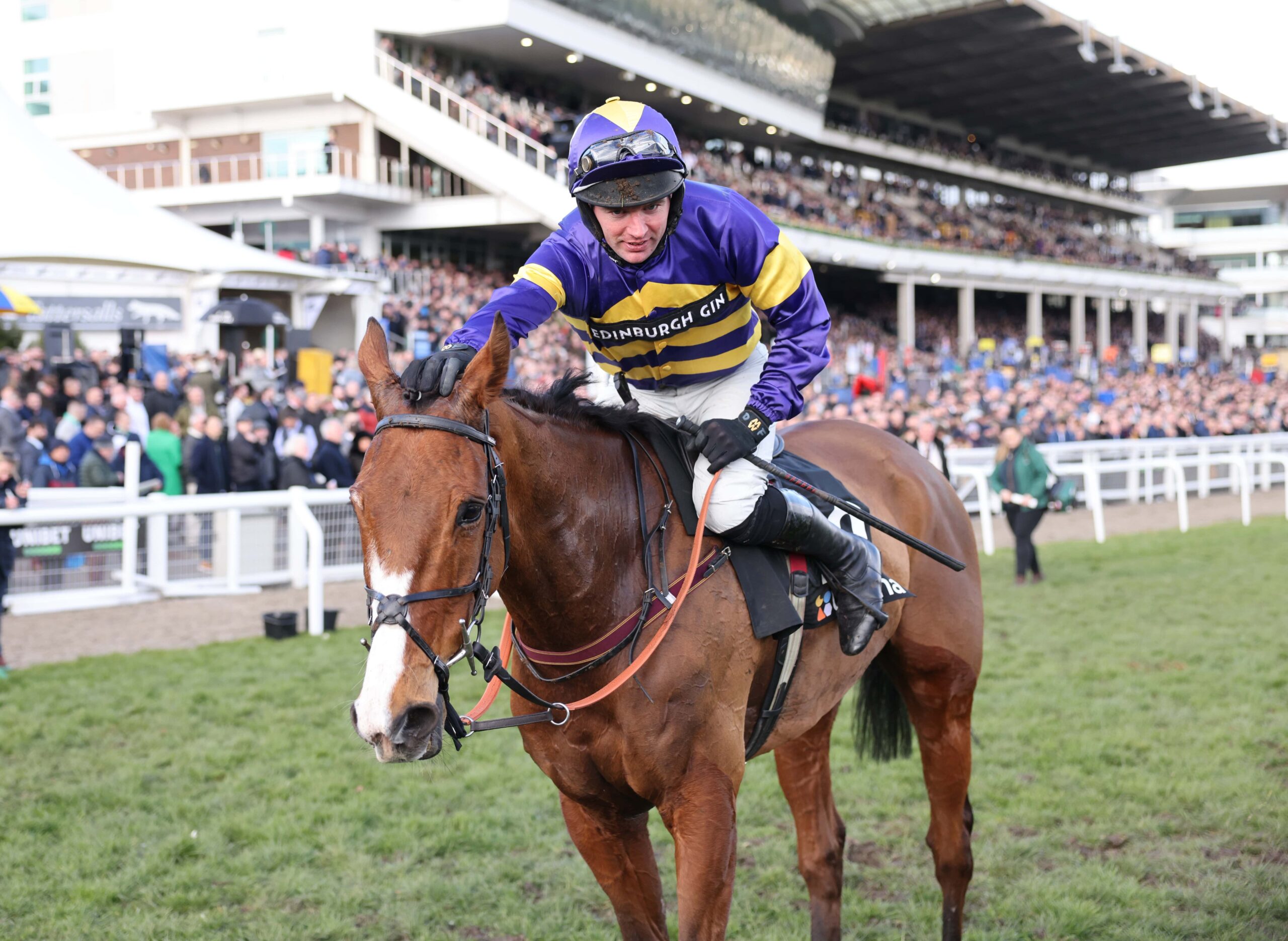 Best Laid Plans: Corach Rambler wins the Grand National - Vimarsana News